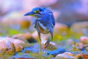 2026年世界杯赛程表完整解析，赛事安排与亮点预测2026世界杯赛程表完整版