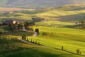 熊出没世界杯，一场欢乐与冒险的盛宴熊出没之世界杯